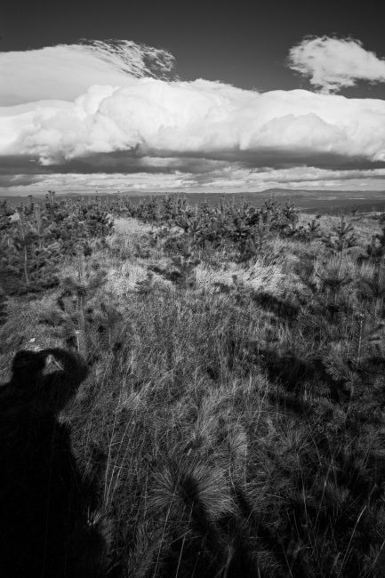 ADOX CMS 20 developed in Rodinal shot with Leica IIIc, Russar MR-2