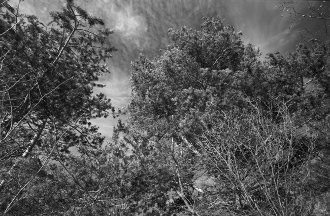 Kodak Technical Pan loaded in Leica IIIc, Russar MR-2