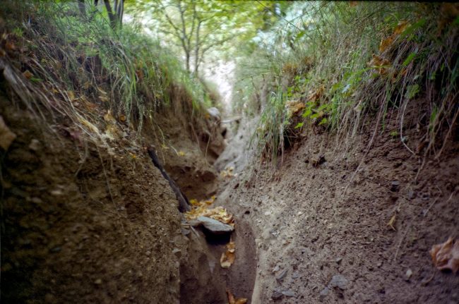 FujiFilm Fujicolor C200 Close-Up Landscape with Lomo LC-A