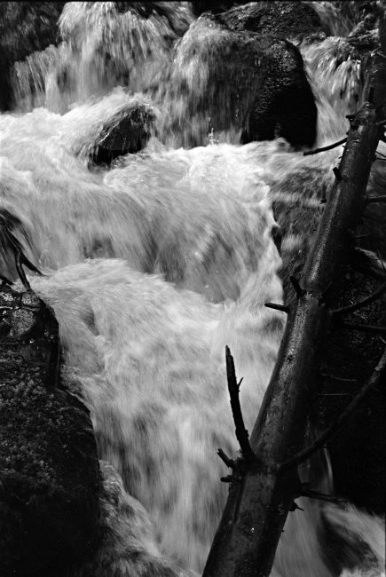 Pentax MX Ricoh XR Rikenon f1.4 50mm Afga Copex Rapid Neofin Blue 2016
