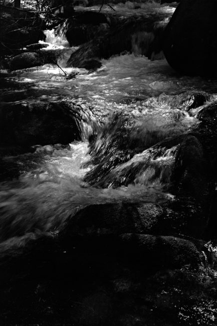 Pentax MX Ricoh XR Rikenon f1.4 50mm Afga Copex Rapid Neofin Blue 2016