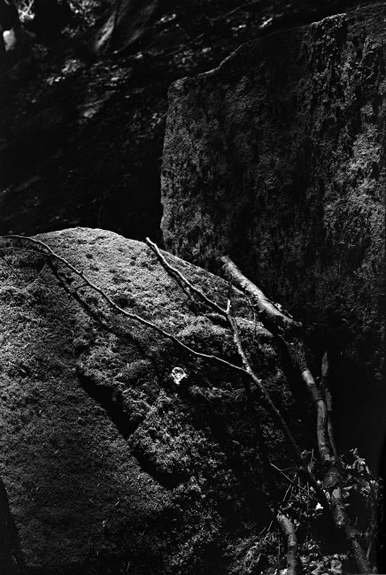 Pentax MX Ricoh XR Rikenon f1.4 50mm Afga Copex Rapid Neofin Blue 2016