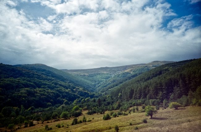 FujiFilm Fujicolor C200 Landscape with Lomo LC-A