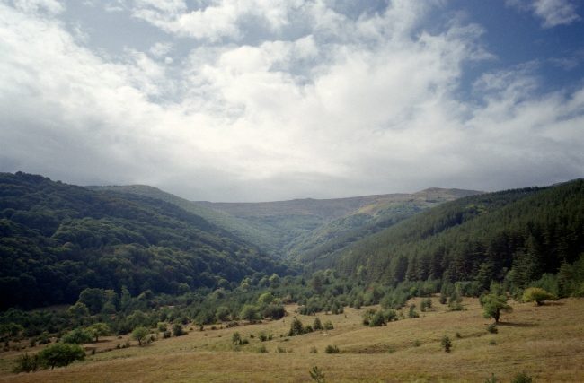 FujiFilm Fujicolor C200 Landscape with Ricoh GR1
