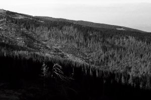 landscape Zorki 1 Industar-22 3.5/50 Agfa APX100 d76