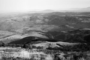 landscape Zorki 1 Industar-22 3.5/50 Agfa APX100 d76