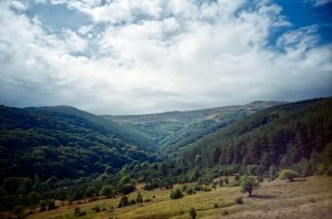 FujiFilm Fujicolor C200 Landscape with Lomo LC-A